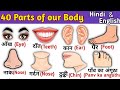 Parts Of Our Body शर र क अ ग क न म Hindi And English Vocabulary The Kituu World Parts Of Our Body शर र क अ ग क न म Hindi And English Vocabulary The Kituu World
