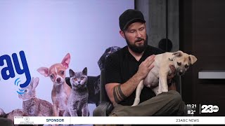Wag Wednesday: Meet Harvey from Marley's Mutts!