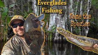 Everglades Florida Freshwater Canal Fishing! Help Me Name the Species and Road Cruising for Snakes!🐍