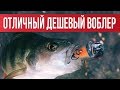 Лучший ДЕШЕВЫЙ воблер на окуня! Ловим окуня на воблеры вместе | Рыбалка с Fishingsib