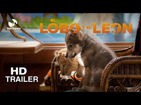 EL LOBO Y EL LEÓN | TRÁILER OFICIAL - En cines 5 de noviembre