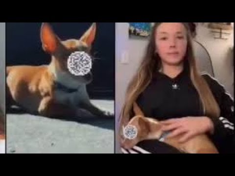 video de logan guminski | logan guminski dog video | logan guminski