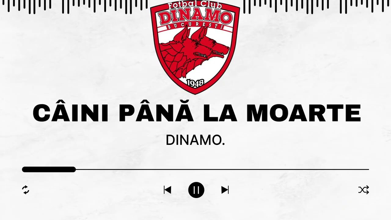 Câini Până la Moarte | Imnul Dinamo București în Română 🔴⚪