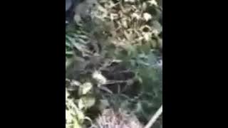 Andra, tangisan anak rantau gak bisa mudik..