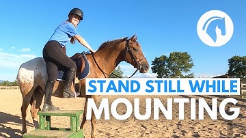 MAKE A HORSE STAND STILL AT THE MOUNTING BLOCK