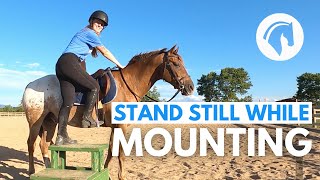 MAKE A HORSE STAND STILL AT THE MOUNTING BLOCK