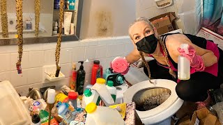 9 gatos en una casa sucia en Florida 🥺 - ¡Limpieza gratuita!!💪❤️