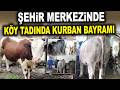 Bu Çiftliğin Önünden Otobüs Geçiyor! - Yalçın Besi Çiftliği Ankara