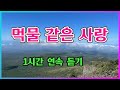 김유라 먹물 같은 사랑 1시간 연속 듣기