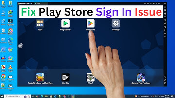 MEmu: How To Fix Google Play Store Can
