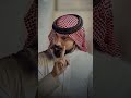الشيخ أحمد نصر الله الفهداوي