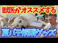 【獣医師オススメ】知らないと危険⚠️ワンちゃんの夏バテ解消グッズ!