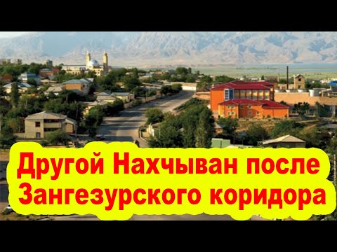 Видео: Аль агаарын тээврийн компани хамгийн хожуу байна