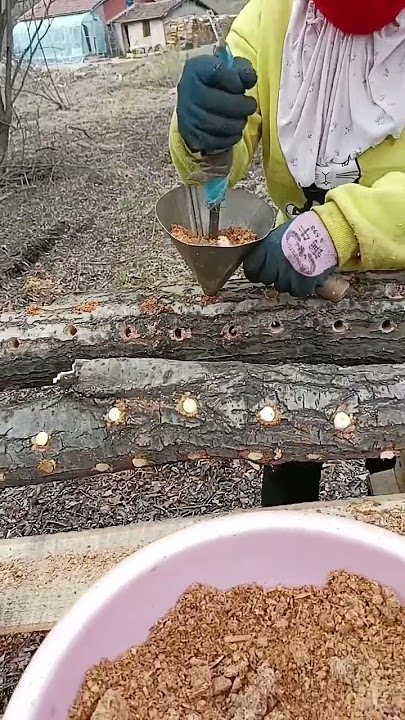 Agriculture, rural areas and farmers