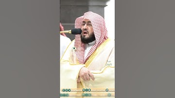 تلاوة تحبيرية فضيلة الشيخ أ.د #_بندر_بليلة | 🌿 سورة الأحقاف 🌿