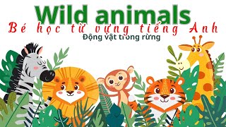 Bé học từ vựng tiếng Anh chủ đề động vật hoang dã wildanimals tuvungdongvat