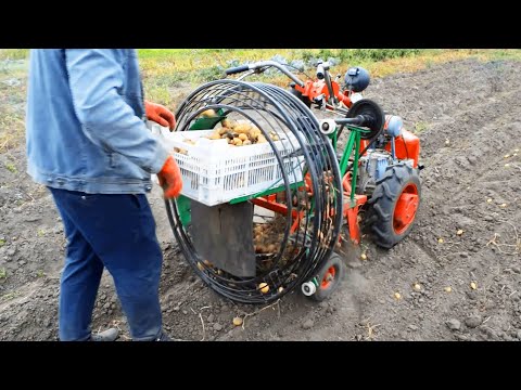 فيديو: مرفقات أداة تشذيب البنزين: اختيار ملحقات قاطع البنزين (أداة تقطيع البطاطس) لإزالة الأعشاب الضارة من البطاطس في الحديقة وإزالة الثلج