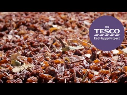 Video: Druvor Raisin: sortbeskrivning, skötsel, avkastning och recensioner