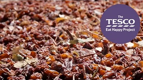 From grapes to raisins, join us for the farm to fork journey of Wrinkly Raisins (Trailer)