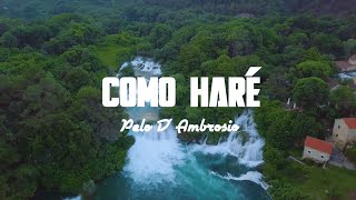 Pelo D' Ambrosio - Como Haré - Letra