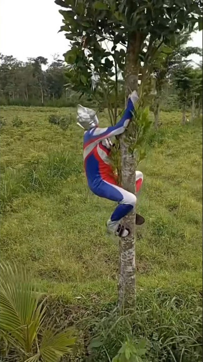 Ultraman Nyangkut Di Atas Pohon #ultraman #ultramantiga #komedi #lucu #ngakak #kocak #drama