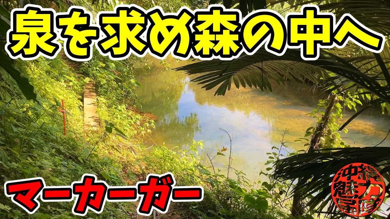 【マーカーガー】聖なる泉を求め森の中へジャングル探検！チチェンの御嶽・大湾アガリヌウガン遺跡・ウガン・マーカーガー・ちょうちょの谷・長田川！