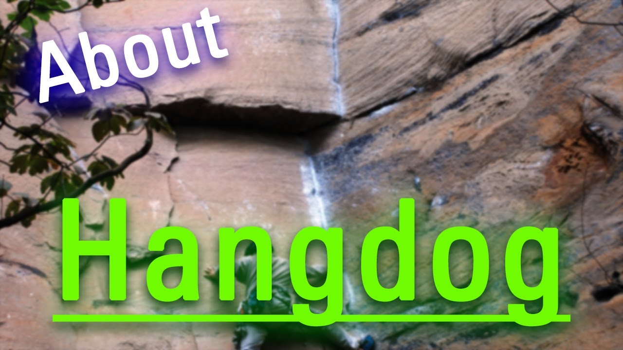How Does Hangdog Look? What is Hangdog? How to Say Hangdog in