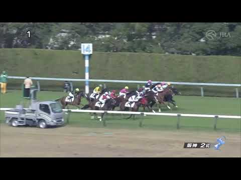 2021/11/07　カラフルキューブ　未勝利戦