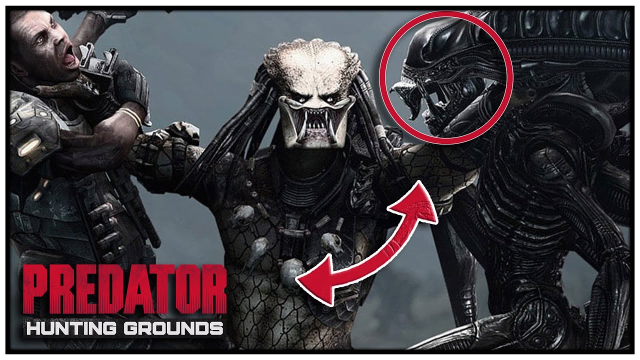 Will ALIEN Ever Be in PREDATOR: Hunting Grounds? | Future DLC Possibilities