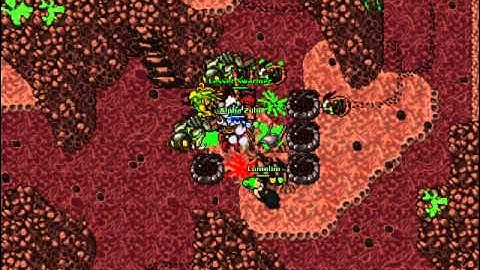 Tibia Hive Born