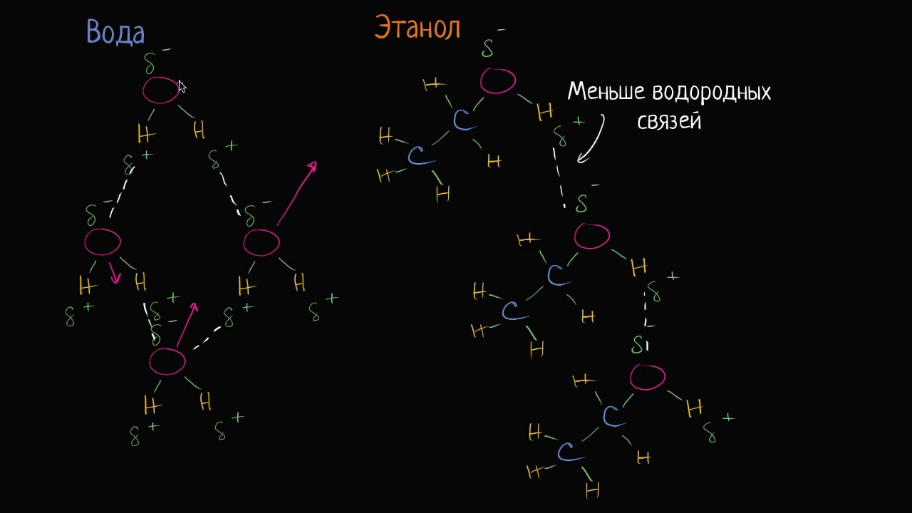 Спирт и вода. Испарение (видео 5) | Биологическая роль воды | Биология ...