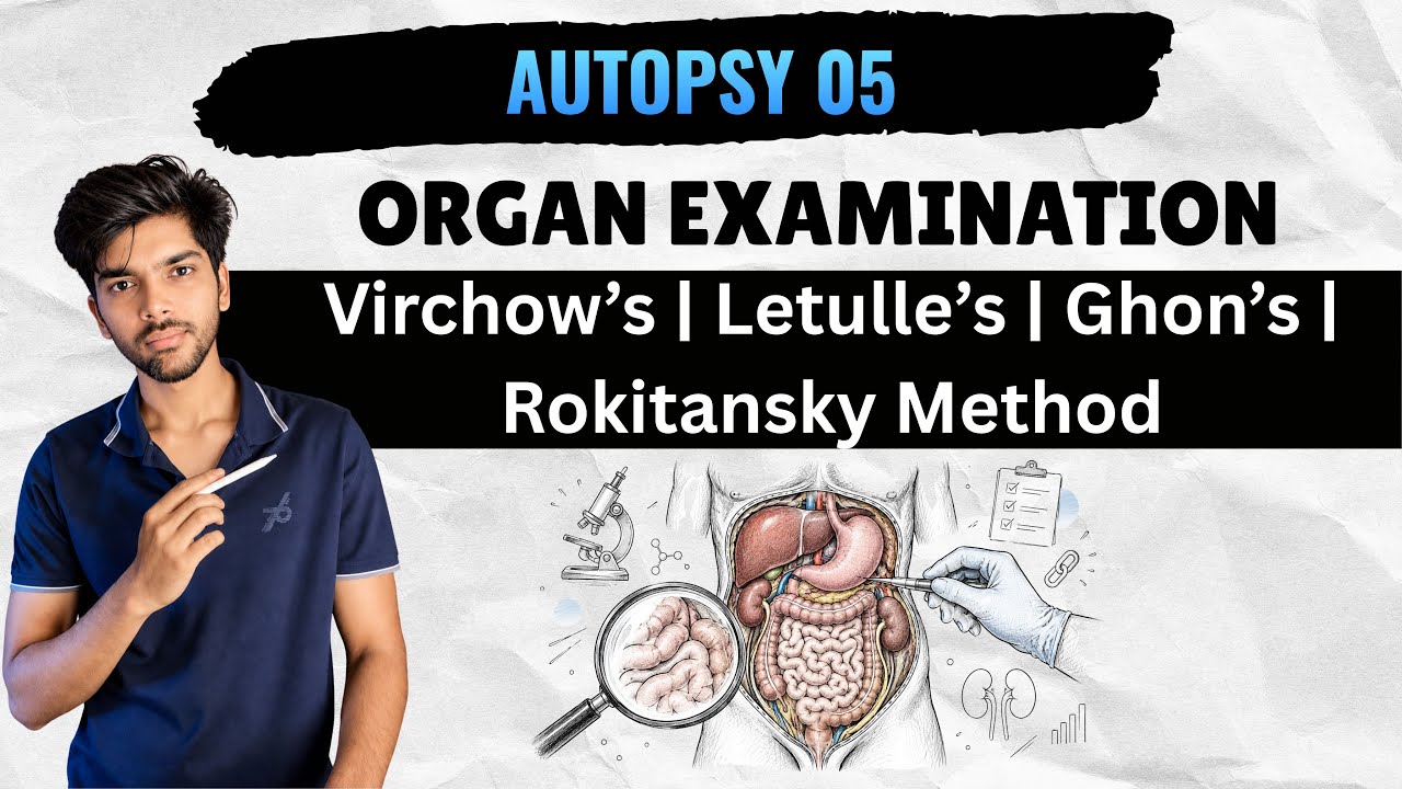 Autopsy 05 - Organ Examination (Virchow’s | Letulle’s | Ghon’s | Rokitansky Methods of Organ Exam)