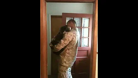 Dog  greeting his Marine
