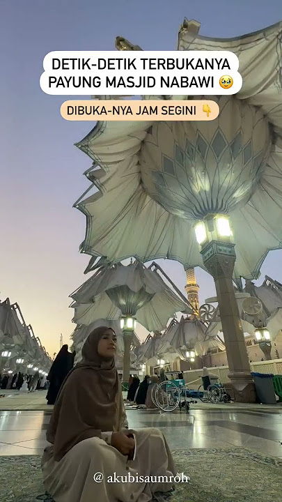 Payung-payung Masjid Nabawi dibuka setelah shalat Subuh sekitar jam 6:00 hingga 6:30 pagi 🤩