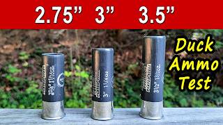 2.75” vs. 3” vs 3.5” Duck Hunting Ammo Test