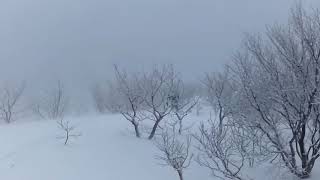2018021104eboshi02