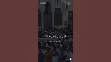 مقتطف من تلاوة فضيلة الشيخ #محمد_برهجي من صلاة المغرب الاثنين ٩ ربيع الأول ١٤٤٧هـ