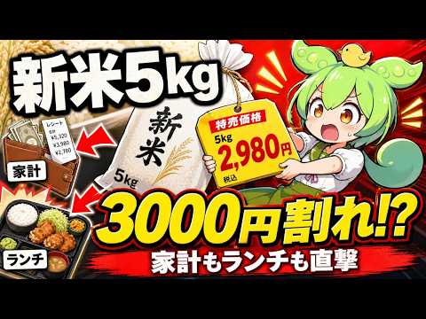 新米5kg3000円割れ説は本当？家計と外食ランチに響く米価格