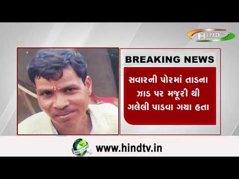 સુરતના ઇચ્છાપોર વિસ્તારમાં તાડના ઝાડ પરથી પડી જતા વ્યક્તિનું મોત