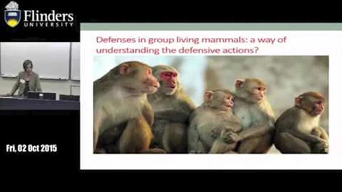 Dr. Jackie Amos: Commonalities in Therapeutic Approaches in BPD - Healing Relationships