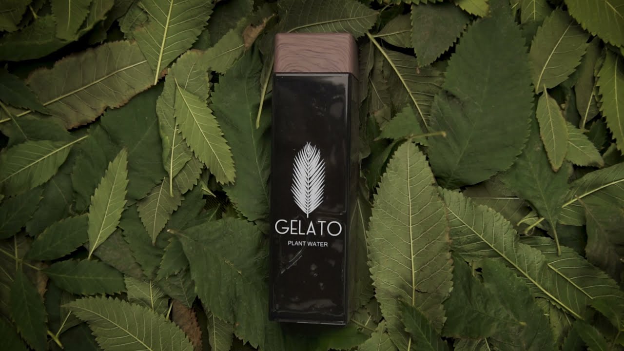 Filming a product commercial at Home | Gelato Plant Water | #productshoot #videocommercial