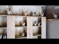 Турецкая такла,в гостях у Сергея ,часть 4 ая          #голуби# #pigeon#бойныеголуби#