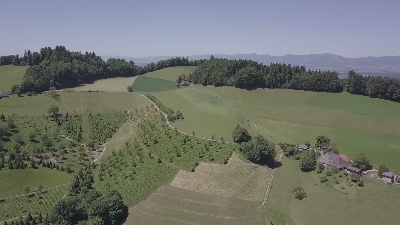 Flight Sagemaurer Oeschenbach