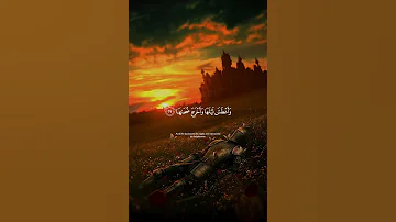 ء أ نت م أ ش د خ ل ق ا أ م ٱلس م ا ء ب ن ى ه ا اسلام صبحي 