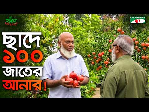 | Shykh Seraj | Channel i |