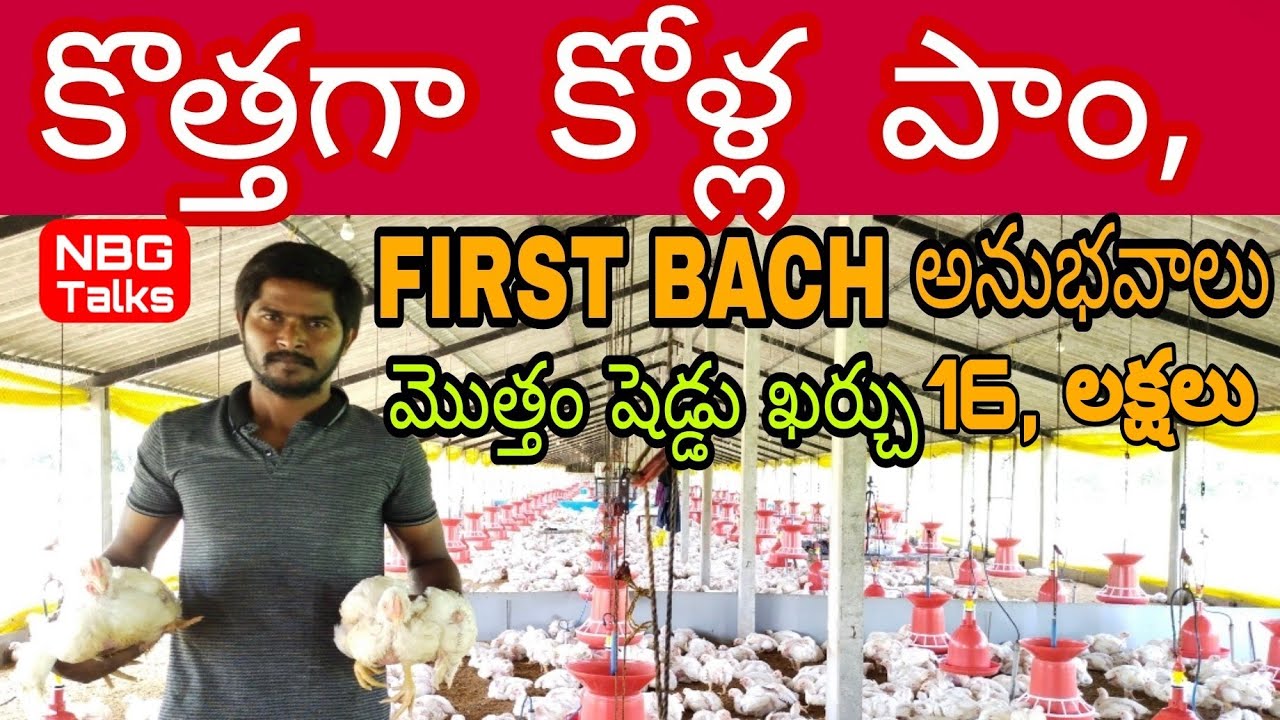 New poultry Farm young Farmer! !కోళ్ల పాం, లో కొత్తగా యువ రైతు అనుభవాలు,!!NBG Talks..