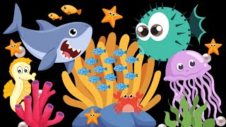Little Ocean Friends baby sensory with high contrast and visual stimulation