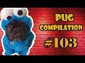 Instagram Pug Videos Compilation 103 | Funny Dogs &amp; Pugs are Awesome