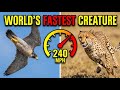 दुनिया का सबसे तेज़ जीव! Ferrari भी इसके सामने फेल है (World's fastest creature! )   ! Hindi