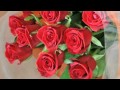 恋の円舞曲(ワルツ)